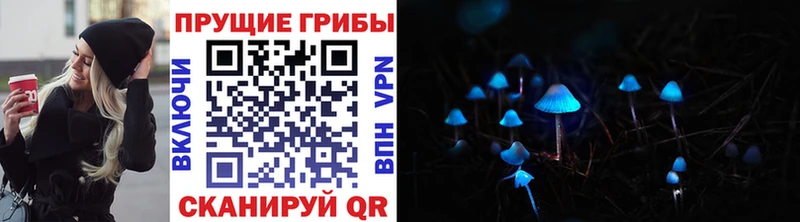 Галлюциногенные грибы Psilocybe  Назрань 