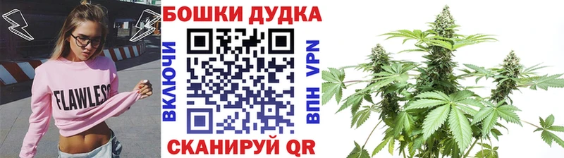 Конопля планчик  закладка  Назрань 